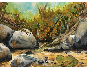 Landscape Original Chris Wakefield Watercolor Painting "Drying Up"